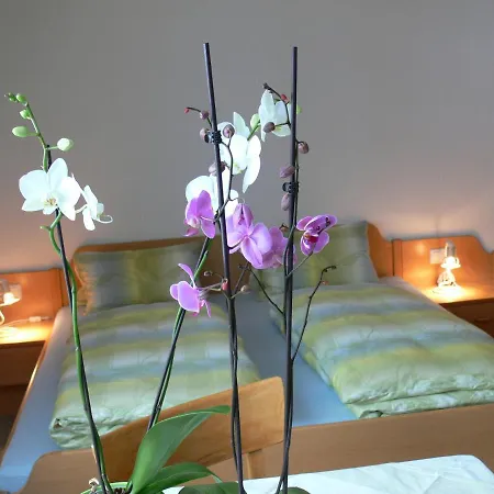 Ferienwohnungen Schantl Schoppernau Room photo