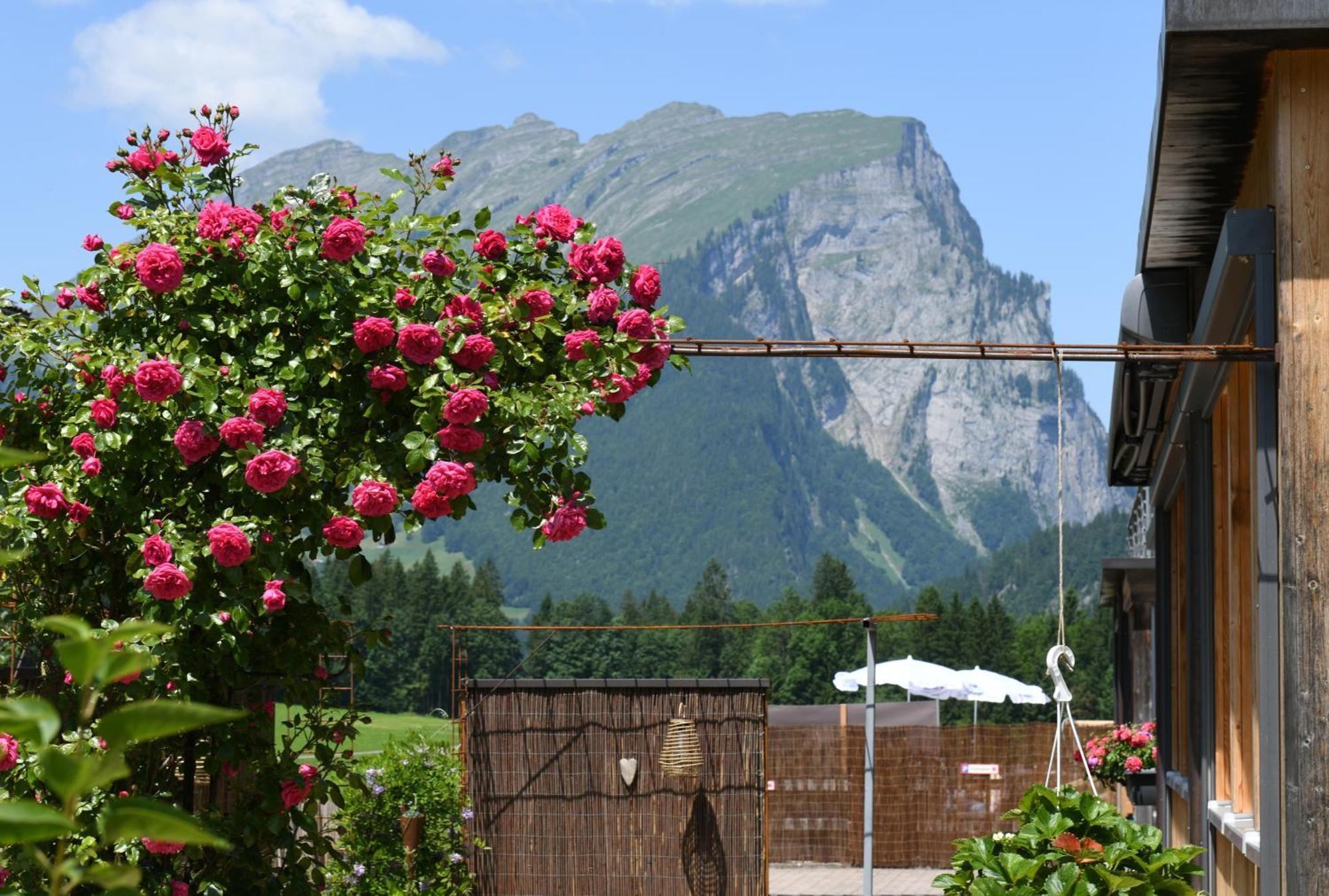 Schantl Apartmán Schoppernau